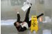 slip-fall-accidents