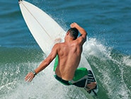 Surfboards and Water Sports